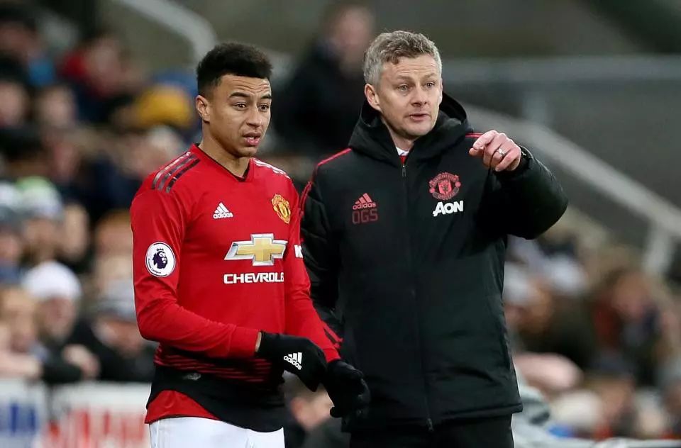 哈維的坦率 哈維的坦率